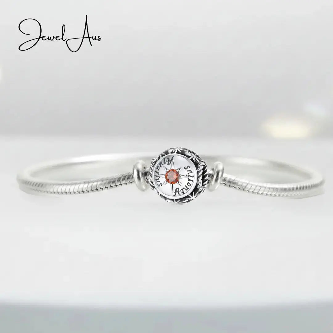 jewelaus CHARMS Aquarius star sign charms