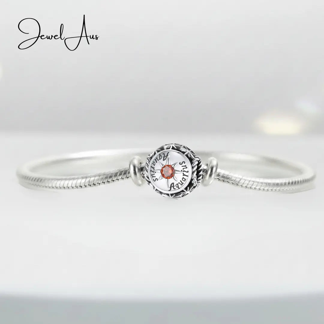 jewelaus CHARMS Aquarius star sign charms