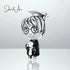 shipped in AUS CHARMS Graduation Boy Charm