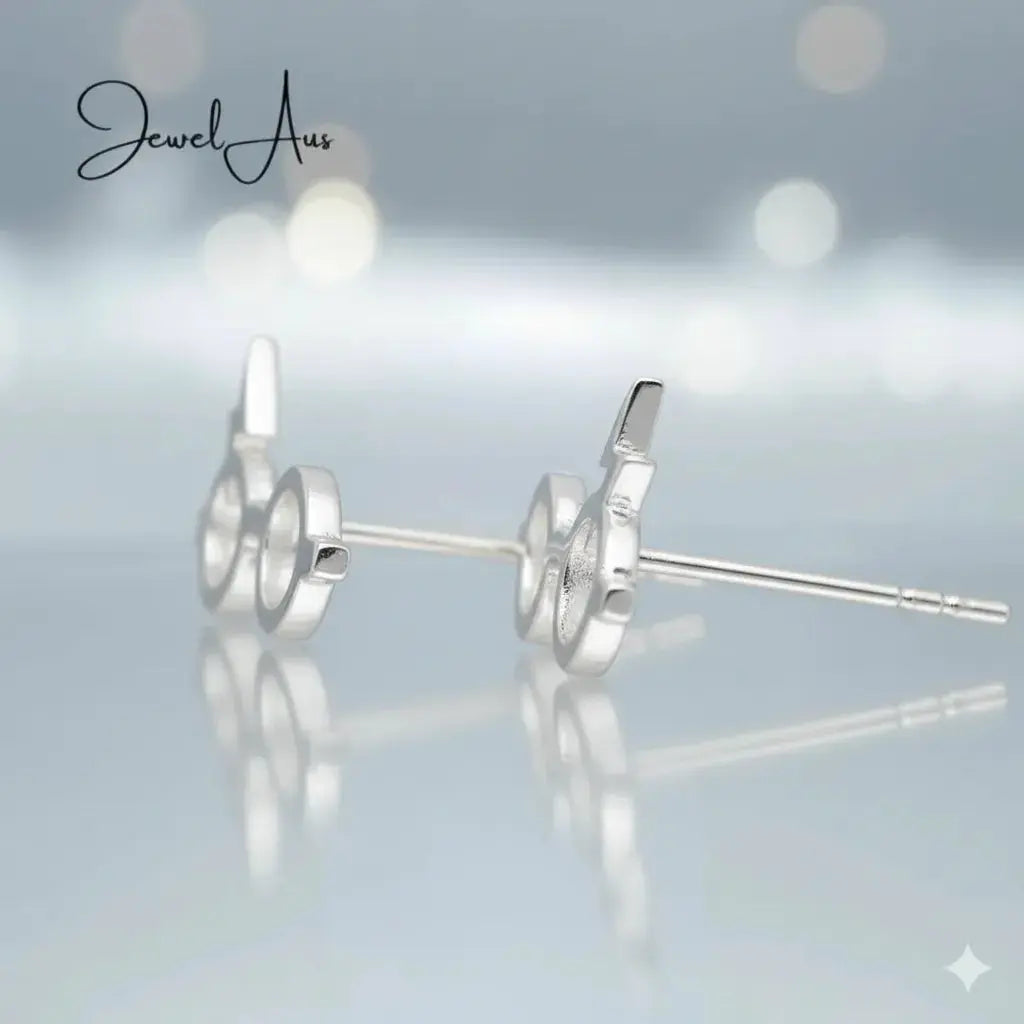 Happy potter Earrings jewelaus