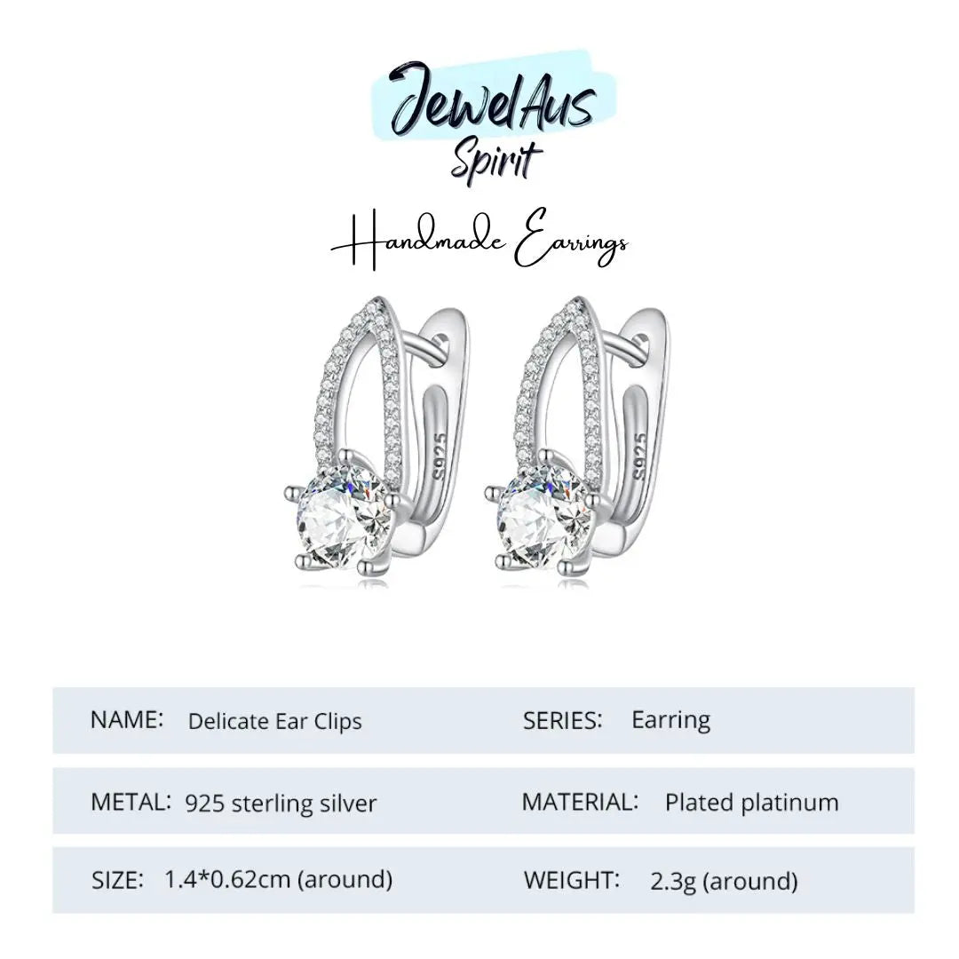 Silver Gem Ear Drop Earrings jewelaus