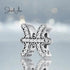 jewelaus CHARMS Star Sign Pisces Charm