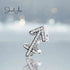 jewelaus CHARMS Star Sign Sagittarius Charm