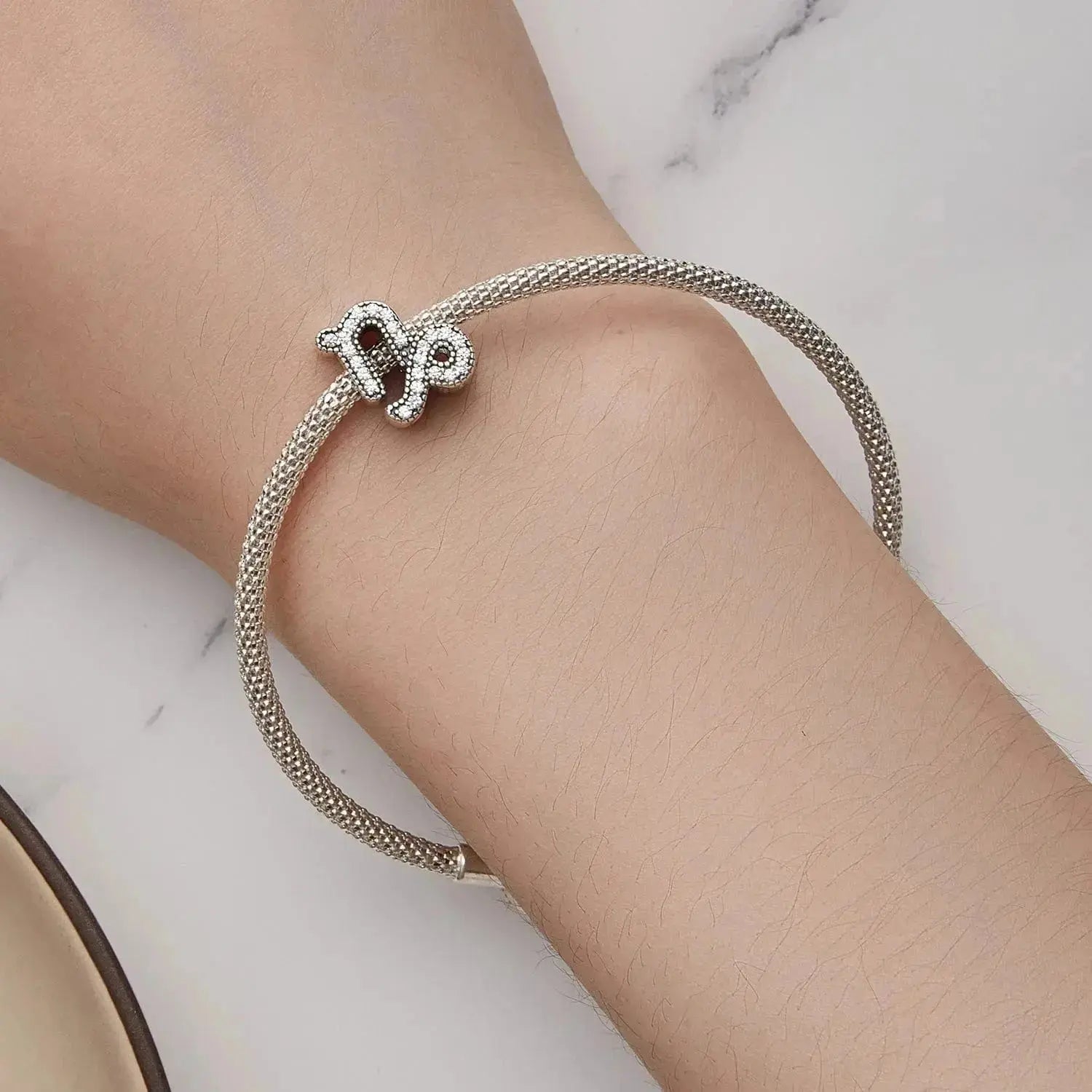 jewelaus CHARMS Star Sign capricorn Charm