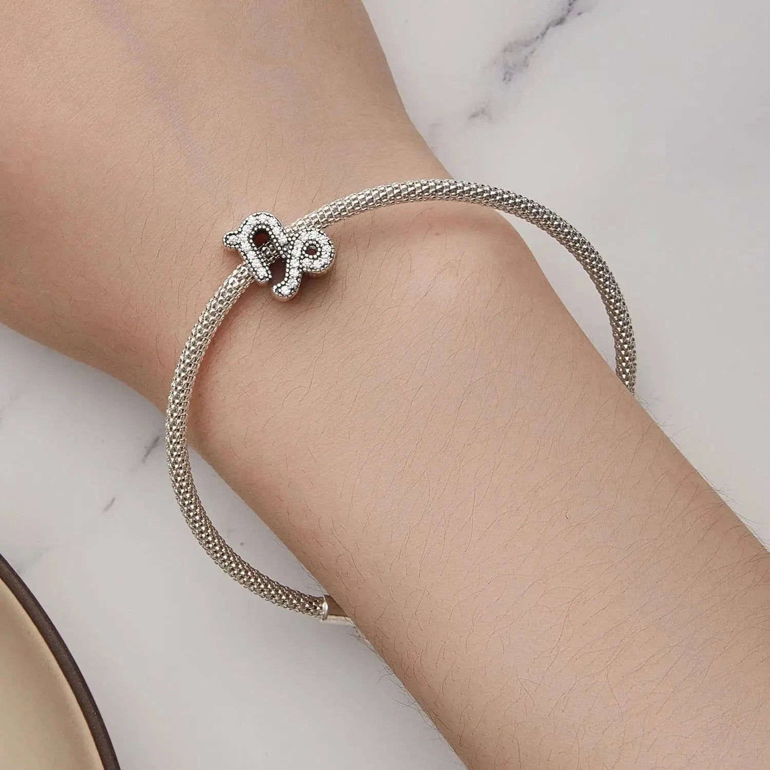 jewelaus CHARMS Star Sign capricorn Charm