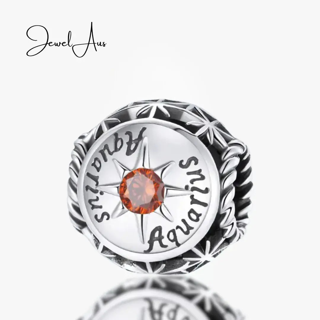 jewelaus CHARMS Aquarius star sign charms