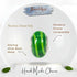 jewelaus CHARMS Italian Green Lollipop Murano Glass Charm