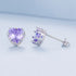 jewelaus Earrings February Birthstone Stud Earrings
